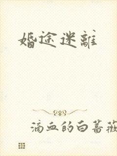 婚途迷离