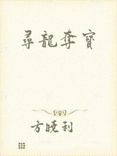 寻龙夺宝