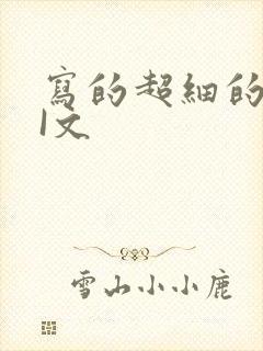 写的超细的DOI文