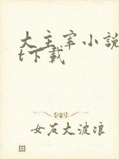 大主宰小说txt下载