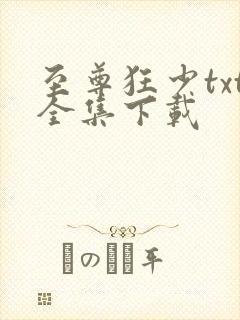 至尊狂少txt全集下载