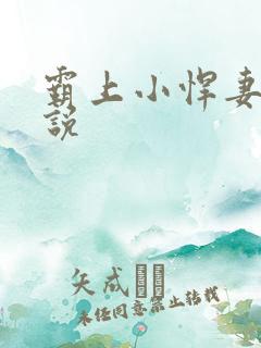霸上小悍妻 小说