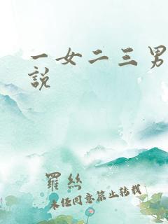 一女二三男事小说
