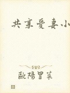 共享爱妻小说