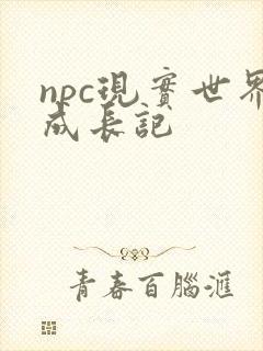 npc现实世界成长记