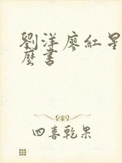 刘洋廖红星是什么书