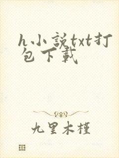 h小说txt打包下载