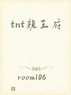 tnt亲王府
