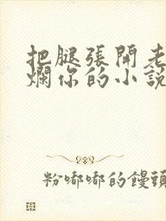 把腿张开老子臊烂你的小说