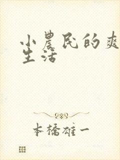 小农民的爽歪歪生活