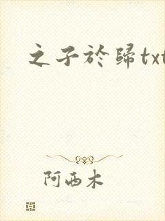 之子于归txt