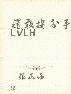 还敢提分手吗嗯LVLH
