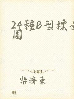 24种B型标意图