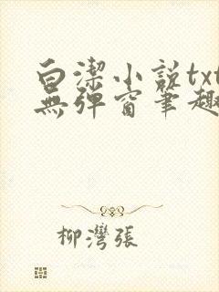 白洁小说txt无弹窗笔趣阁