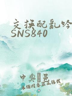 交换配乱吟粗大SNS840