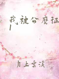 我被公么征服了1