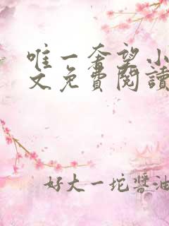 唯一奢望小说全文免费阅读