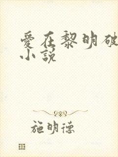 爱在黎明破晓前小说