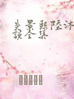 炎景熙陆沐擎小说全集