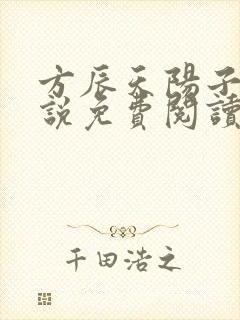 方辰天阳子的小说免费阅读