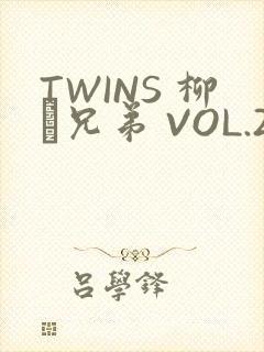 TWINS 柳澤兄弟 VOL.2