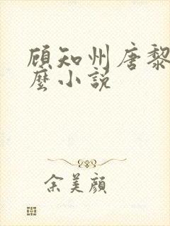 顾知州唐黎叫什么小说