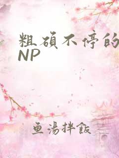 粗硕不停的进出NP