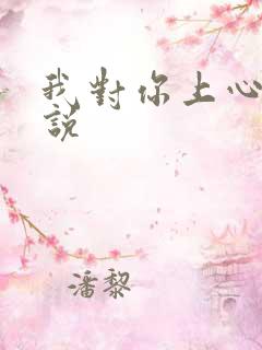 我对你上心了小说