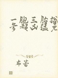 一胞三胎总裁爹爹超凶猛免费阅读