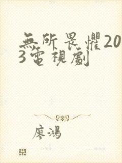 无所畏惧2023电视剧