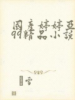 国产婷婷亚洲999精品小说