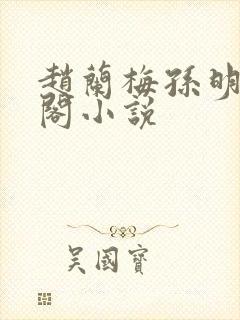 赵兰梅孙明笔趣阁小说