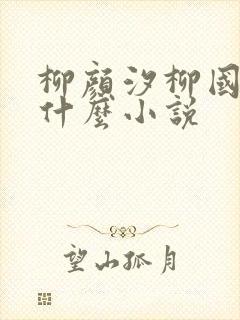 柳颜汐柳国安是什么小说