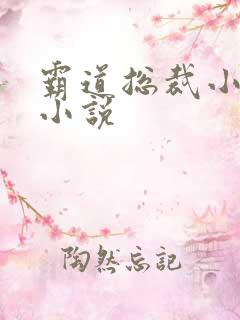 霸道总裁小娇妻小说