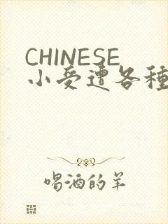 CHINESE小受遭各种打桩