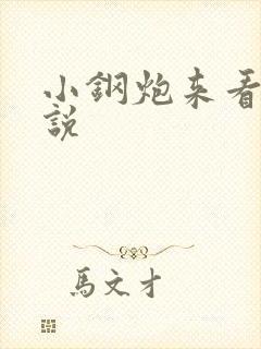 小钢炮来看我小说