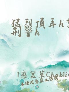 猛烈顶弄h禁欲刑警h