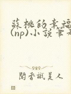 苏桃的幸福生活(np)小说笔趣阁沐沐