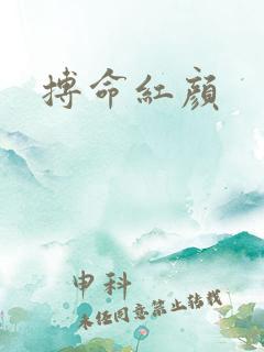 搏命红颜