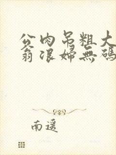 公肉吊粗大双色翁浪妇无码AV