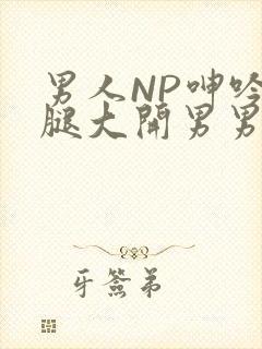 男人NP呻吟双腿大开男男小说