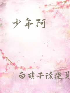 少年阿