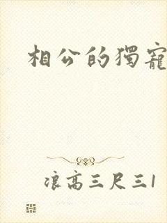 相公的独宠妻子