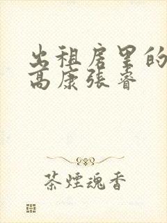 出租房里的交互高康张睿