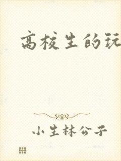 高校生的玩物