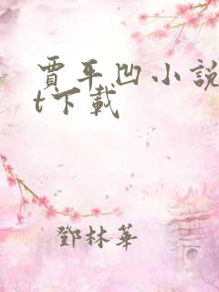 贾平凹小说txt下载