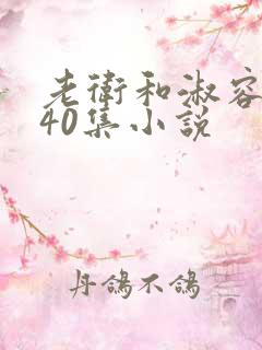 老卫和淑容1-40集小说