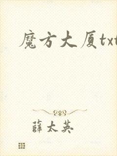 魔方大厦txt
