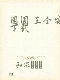 团圆 王全安 下载