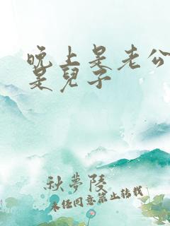 晚上是老公白天是儿子